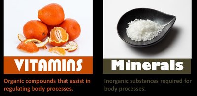 Visual comparison of vitamins and minerals