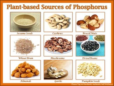 Plant-based sources of phosphorus