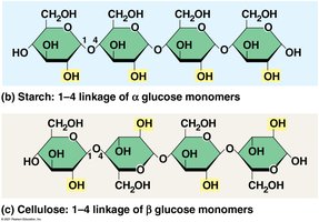 Cellulose structure