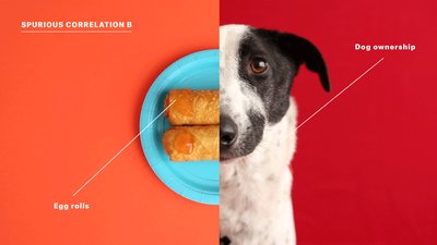 Spurious correlation between egg rolls and dog ownership