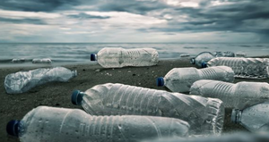 Plastic bottles on a beach, representing environmental concerns related to food and packaging