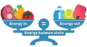 Stable body weight: energy in equals energy out