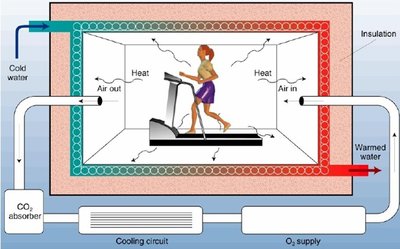 Direct calorimetry chamber