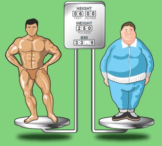 BMI and body fat