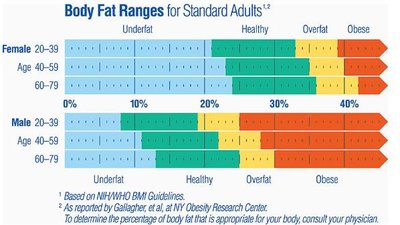 Body fat percentage ranges
