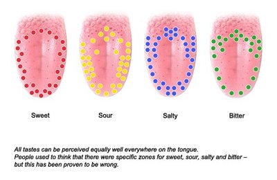 Taste zones on the tongue