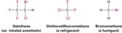 Examples of alkyl halides: Halothane, Dichlorodifluoromethane, Bromomethane