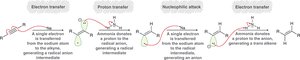 Birch reduction mechanism overview
