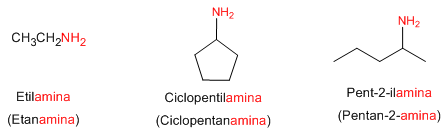 Examples of amine nomenclature