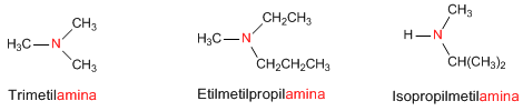 Nomenclature with multiple substituents on nitrogen