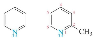 Examples of heterocyclic amines