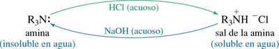 Formation of amine salts