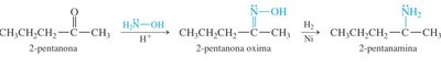 Example: 2-pentanone to 2-pentanamine