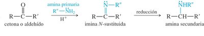 Reductive amination: imine to secondary amine