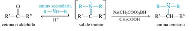 Reductive amination: iminium salt to tertiary amine