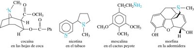 Examples of natural amines: cocaine, nicotine, mescaline, morphine