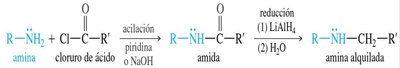 Acilation-reduction: amide to amine