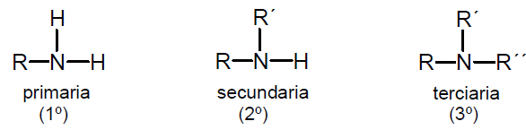 Primary, secondary, and tertiary amine structures