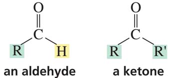 Structure of an aldehyde and a ketone