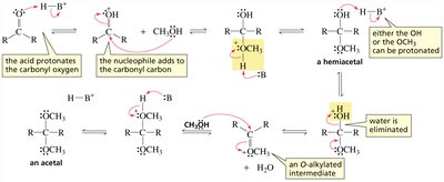 Acetal and hemiacetal formation