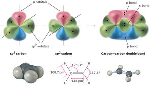 sp2 hybridization and double bond in ethylene