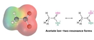 Resonance forms of acetate ion