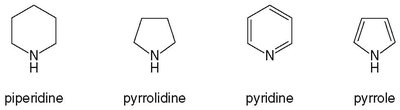 Structures of common amine heterocycles: piperidine, pyrrolidine, pyridine, pyrrole