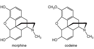 Structures of morphine and codeine