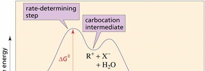 Free energy diagram for SN1 reaction