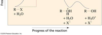 Continuation of SN1 free energy diagram