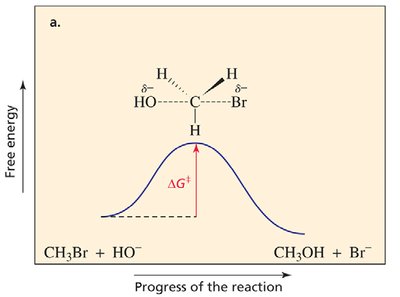 Free energy diagram for SN2 reaction
