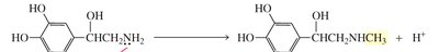 Biological SN2 reaction example