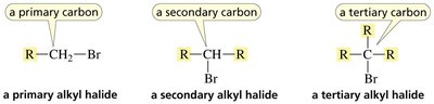 Classification of alkyl halides
