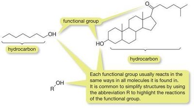 Functional group highlighted in organic molecules