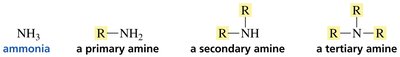 Classification of amines