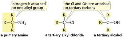 Comparison of amines, alkyl halides, and alcohols