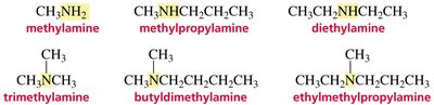 Common names of amines