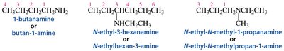 Systematic names of amines