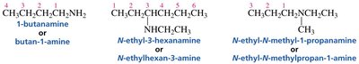 Nomenclature of amines with chain and nitrogen substituents