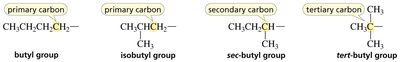 Primary, secondary, tertiary carbons in alkyl groups