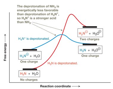 Reaction coordinate diagram comparing deprotonation of NH3 and NH4+