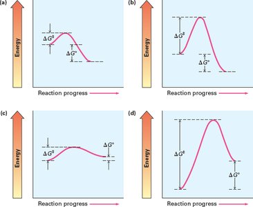 Reaction energy diagrams