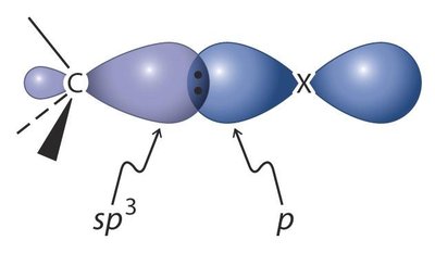 Schéma de la liaison C–X (sp3 sur C, p sur X)
