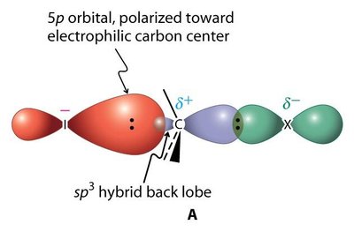 Effet de la polarisabilité du nucléophile