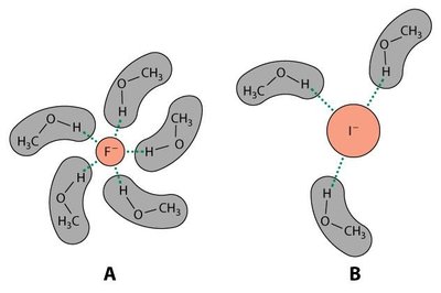Solvatation des anions nucléophiles