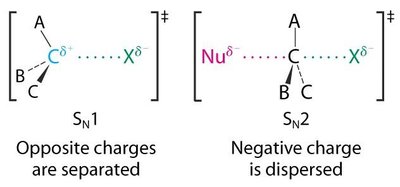Solvatation et stabilisation du carbocation