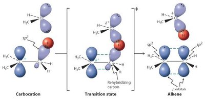 Mécanisme E1, formation du carbocation et départ du proton