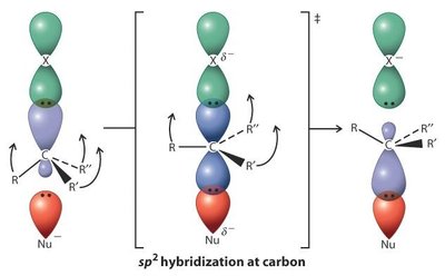 Diagramme d'énergie potentielle SN2