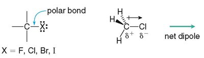 Polar bond and net dipole in alkyl halides