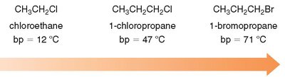 Boiling point increases with halogen size
